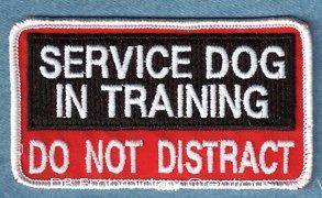 SERVICE DOG IN TRAINING DO NOT DISTRACT 2x4 service dog vest patch