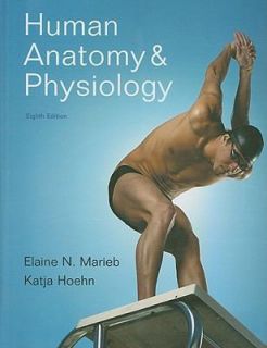 human anatomy and physiology marieb in Textbooks, Education
