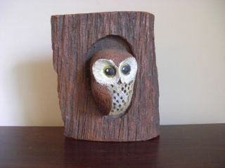 Vintage Owl Dimensional 3D Wall Decor Resin Hand Painted ~ Realistic 