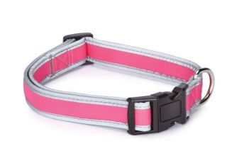 reflective dog collars in Collars & Tags
