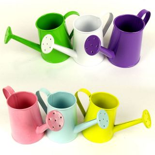   Small 8cm Metal Flower Plant Watering Can / Bucket / Pail for Favours