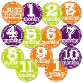  Onesie Stickers (13 = Just Born + 12 months) Boy or Girl Baby Shower