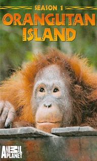 Animal Planet   Orangutan Island   The Complete Season 1 DVD, 2008, 2 