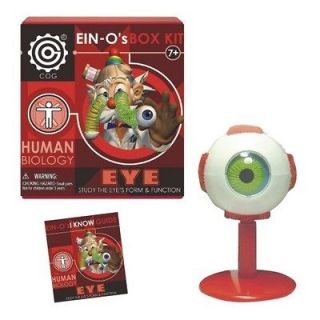 Human Anatomy Eye Ball Model Early Science Project Hands On Science 