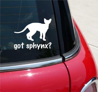 GOT SPHYNX? CAT GRAPHIC DECAL STICKER VINYL CAR WALL