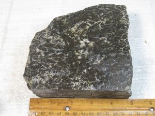Black Feather Plume Agate rough cutting rock. Weight 3lb 3oz