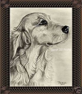 Dog Art,Pencil&Ink​,Golden Retriever Print#2 By PK Ufnal