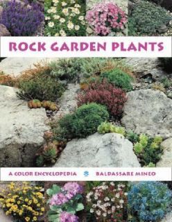   Plants A Color Encyclopedia by Baldassare Mineo 1999, Hardcover