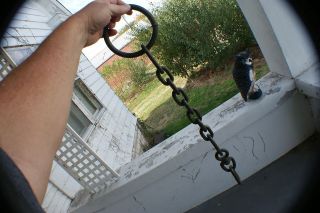 large steel/iron chain from a Bear trap 26 inches long nearly a 5 