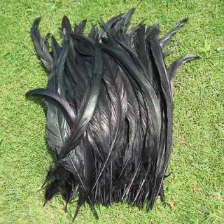 50 Pcs OVER BADGER SADDLE ROOSTER FEATHERS Black colors 10 12 Inches 