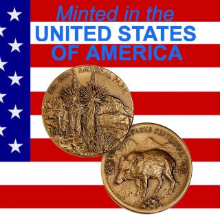 Big Bend National Park Commemorative Visit Coin Bronze Antique 