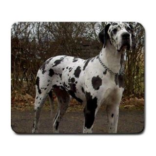 Great Dane Puppy Dog Photo Computer Mousepad New