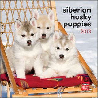 Siberian Husky Puppies 2013 Mini Wall Calendar