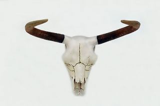 mounted bull head in Sporting Goods
