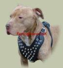 New Spiked Padded Leather Dog Harness H9 for Pitbull