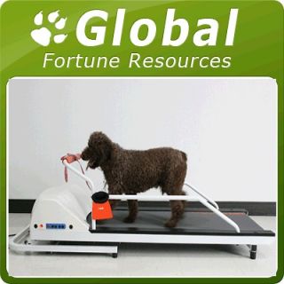 Pet Treadmill Premium GoPet PR710 Dog Exercise 90 lbs