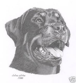 ROTTWEILER dog art pencil drawing picture LE print