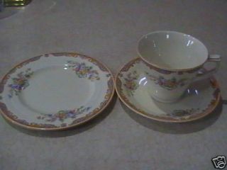 Grindley China England cup,saucer,plate w/flowers VGC