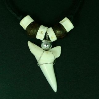 Genuine Big Fang Shark Tooth With Fish Bone And Wooden Beads 