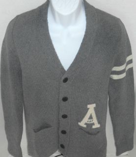 ABERCROMBIE & FITCH Mens Gray Indian Pass Cardigan Sweater Sizes M 