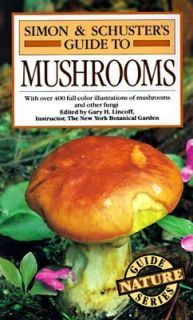   Guide to Mushrooms by Gary H. Lincoff 1982, Paperback