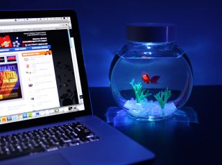   Electronic Goldfish in a Bowl