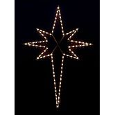 Holiday Lighting Specialists Outdoor Decorations ( 111 )