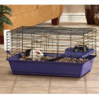 Hamster Cages & Cages for Rabbit, Chinchilla or Guinea Pig  PetSmart