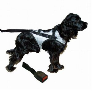 Snoozer® Pet Safety Harness w/ Adapter   Dog   Boutique   PetSmart