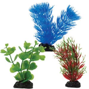 Top Fin™ Aquarium Mini Plants   Decorations   Fish   