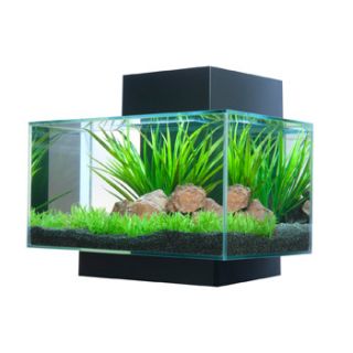 Home Fish Aquariums & Tanks Fluval Edge Aquarium Kit in Black