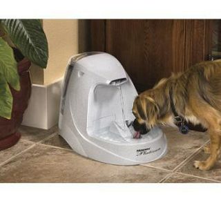 Drinkwell Platinum Pet Fountain   Pet Water Fountain and Cat Drinking 