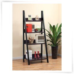 Leaning & Ladder Bookcases  Bookcases  