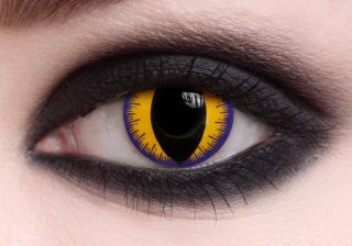 Cat Eye   Purple  Halloween Contact Lenses   Coastal 