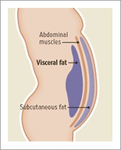 As you can see in the picture above, subcutaneous fat is what covers 