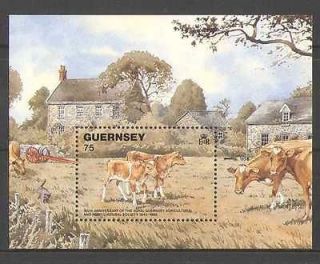 Guernsey 1992 Cattle/Cows/Fa​rming/Cat 1v m/s (n25896)