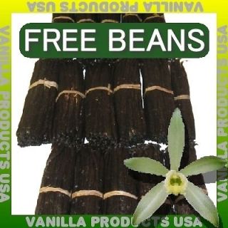 LB Gourmet A Madagascar Bourbon Vanilla Beans 6~7