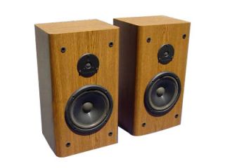 Infinity RS3001 Main Stereo Speakers