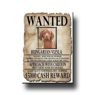 HUNGARIAN VIZSLA Wanted Poster FRIDGE MAGNET New DOG
