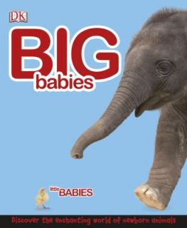 Big Babies, Little Babies by Lorrie Mack and Dorling Kindersley 