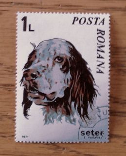 english setter on a posta romana stamp keepsake pin time