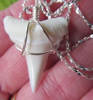 Silver Awesome Modern 1 3/16 Great White Shark Tooth Necklace surfer 
