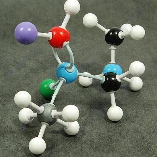 organic chemistry scientific atom molecular models set from hong kong