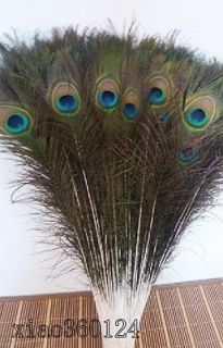 100 Pcs natural peacock feathers, about 78 82 cm / 30 35 inch