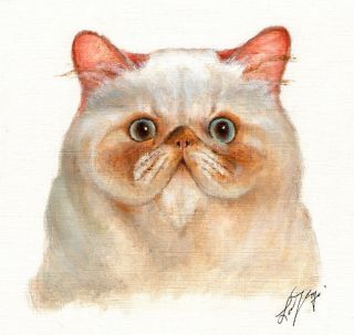 NEW Original Oil CAT Portrait Painting HIMALAYAN Art on Canvas 