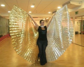 New Egyptian Belly Dance Gold And Silver Lame Isis Wings Made In Egypt 