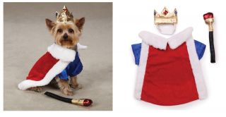 Royal Pup King Costumes for Dogs   Halloween Dog Costume   FREE 