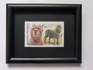 5987   Framed Postage Stamp   Neapolitan Mastiff   Gift with dogs