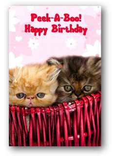 SALE   99p for 1 x Funny Kitten Birthday Card   Peek a Boo (Ref 711)