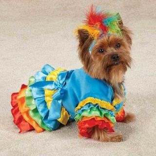 Casual Canine POLLY PARROT Dog Halloween Costume XS S M L XL